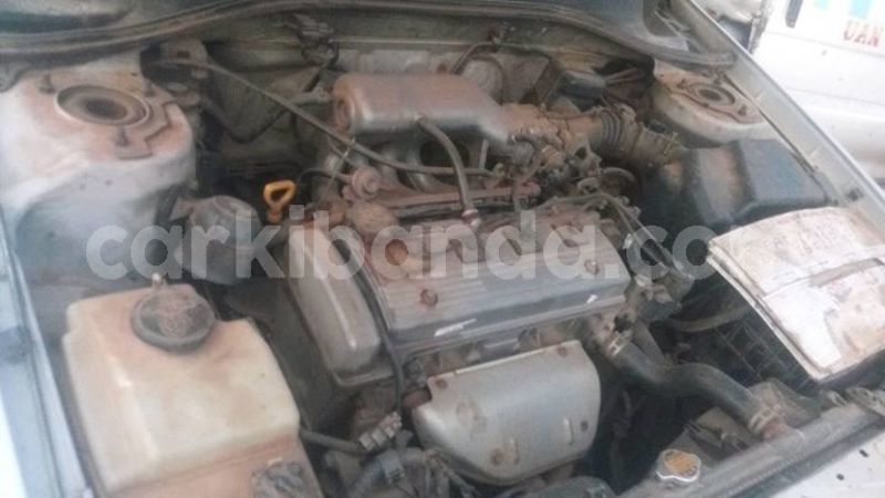 Big with watermark 30705011 1080215435450894 1812932972978896896 n