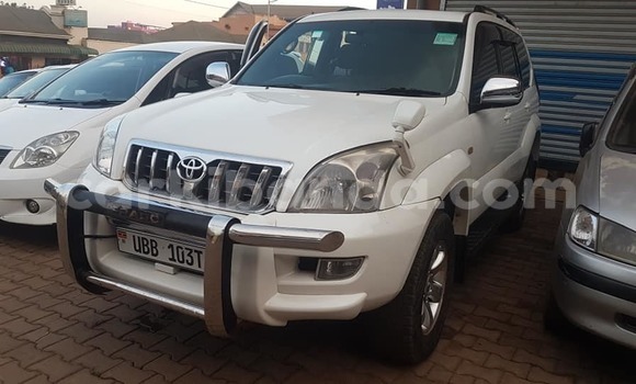 Buy Used Toyota Land Cruiser Prado White Car in Kampala in Uganda