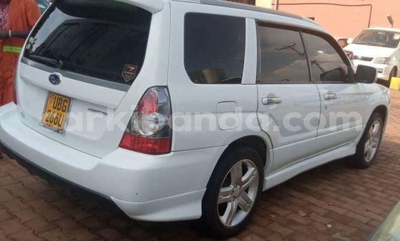 Buy Used Subaru Forester White Car in Kampala in Uganda Buy Used Subaru Forester White Car in Kampala in Uganda