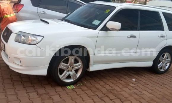 Buy Used Subaru Forester White Car in Kampala in Uganda Buy Used Subaru Forester White Car in Kampala in Uganda