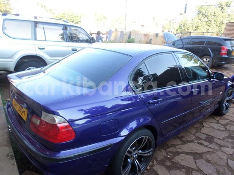 Big with watermark 30623955 578122035882356 6857030771144654848 n