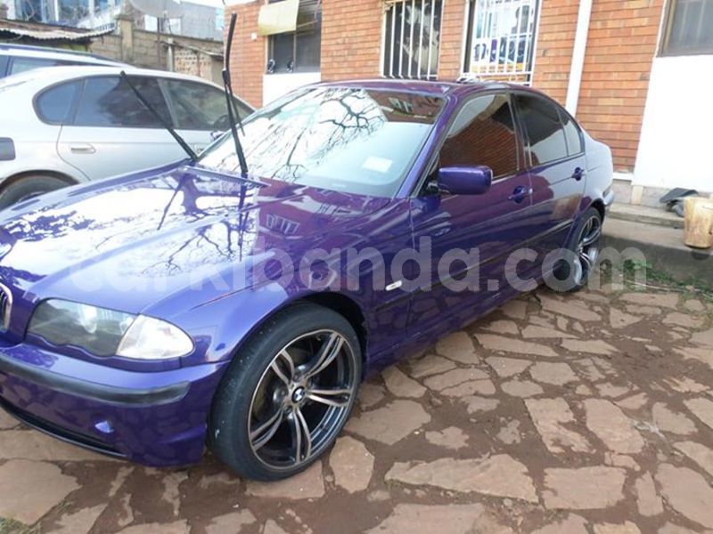 Big with watermark 30629329 194112211393369 244064733525704704 n