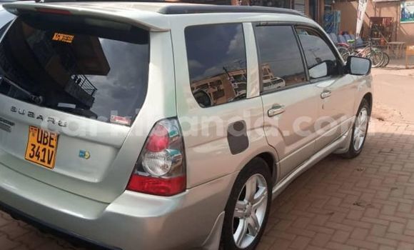 Buy Used Subaru Forester Silver Car in Adjumani in Northern