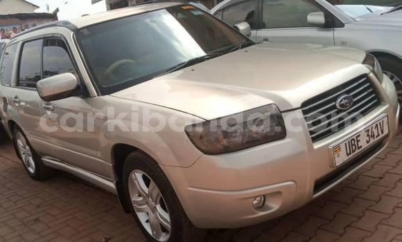 Buy Used Subaru Forester Silver Car in Adjumani in Northern Buy Used Subaru Forester Silver Car in Adjumani in Northern