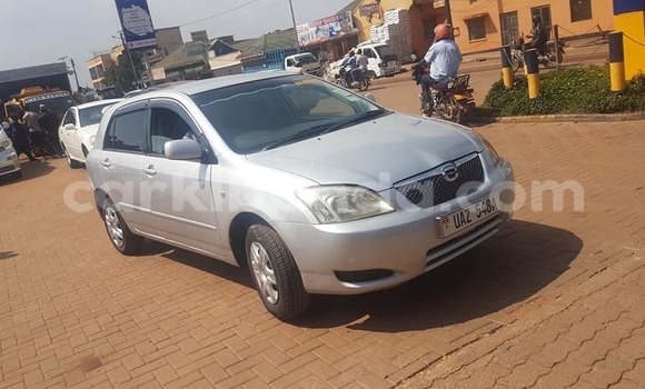 Acheter Occasion Voiture Toyota Allex Gris à Adjumani, Nord
