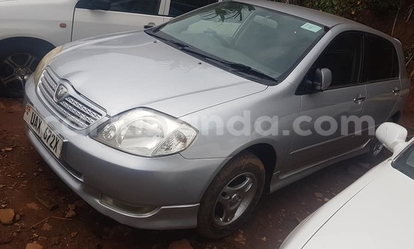 Buy Used Toyota Allex Silver Car in Adjumani in Northern
