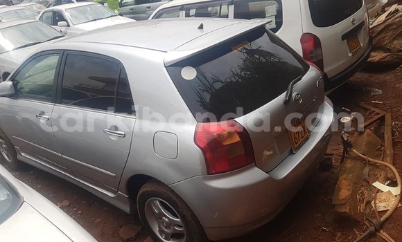 Buy Used Toyota Allex Silver Car in Adjumani in Northern Buy Used Toyota Allex Silver Car in Adjumani in Northern