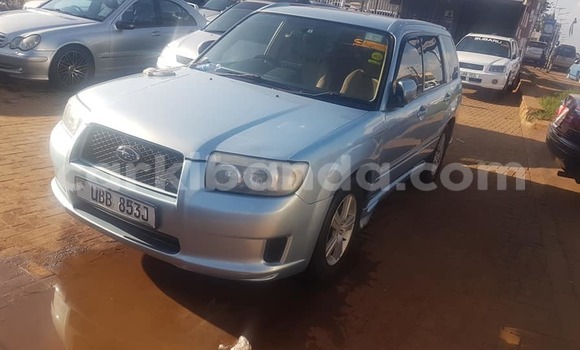 Acheter Occasion Voiture Subaru Forester Gris à Adjumani, Nord