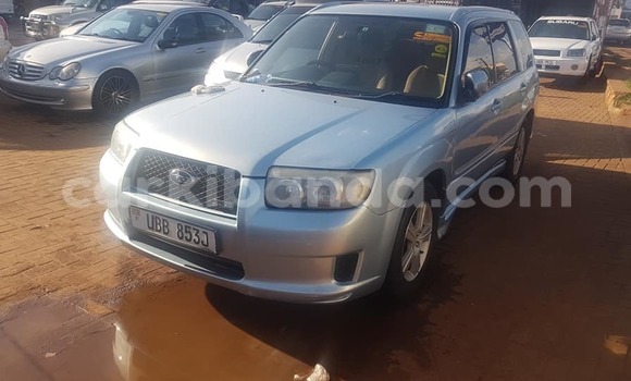 Buy Used Subaru Forester Silver Car in Adjumani in Northern Buy Used Subaru Forester Silver Car in Adjumani in Northern