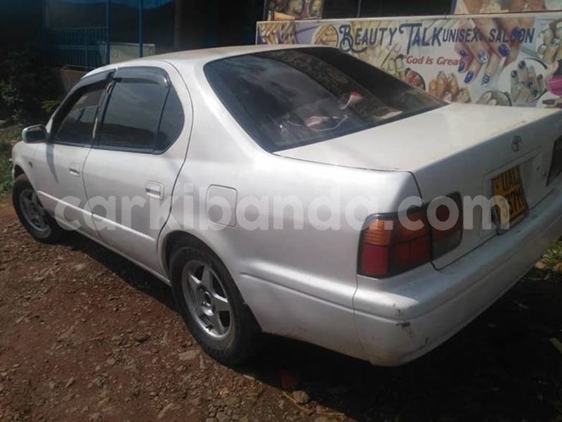 Big with watermark 30623955 578122035882356 6857030771144654848 n