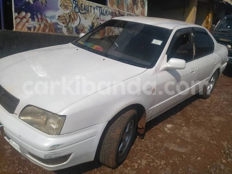 Big with watermark 30629329 194112211393369 244064733525704704 n