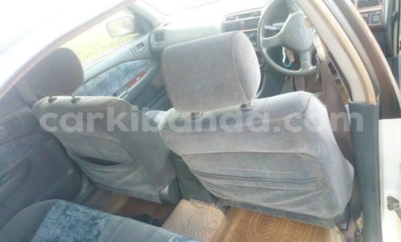 Buy Used Toyota Premio White Car in Kampala in Uganda Buy Used Toyota Premio White Car in Kampala in Uganda