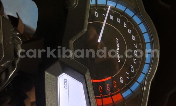 Buy Used Kawasaki Ninja Green Bike in Kampala in Uganda Buy Used Kawasaki Ninja Green Bike in Kampala in Uganda