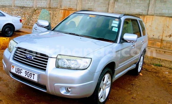 Gura Yakoze Subaru Forester Silver Imodoka i Kampala mu Uganda Gura Yakoze Subaru Forester Silver Imodoka i Kampala mu Uganda