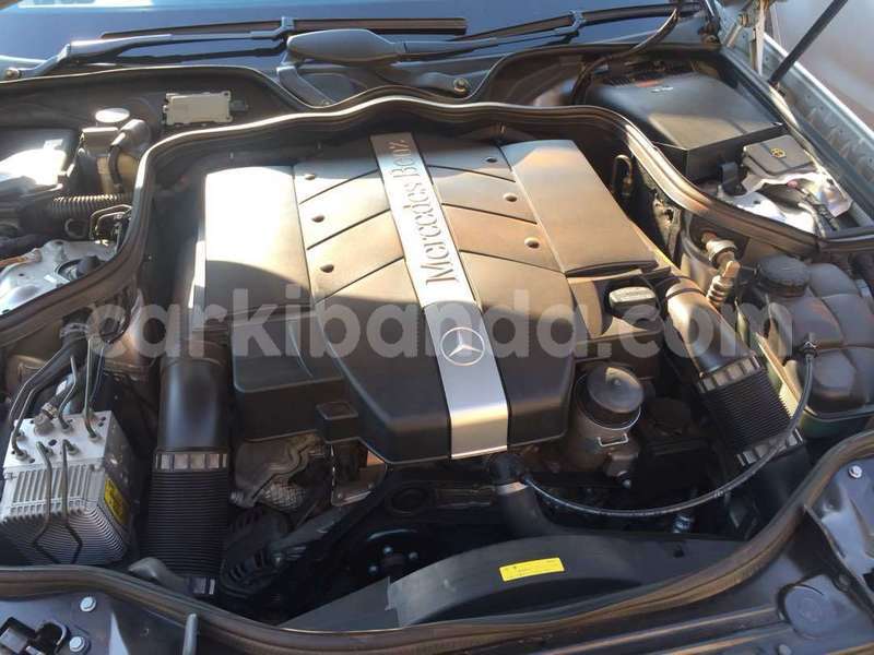 Big with watermark image s 1080x810.jpg 4