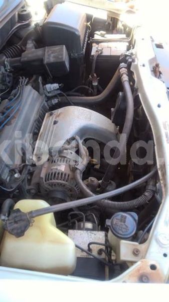 Big with watermark 36670178 10209942554919616 4162257810190499840 n