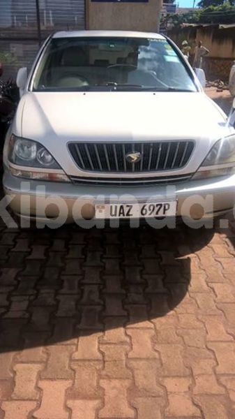 Big with watermark 36810082 10209942554599608 6812236383961219072 n