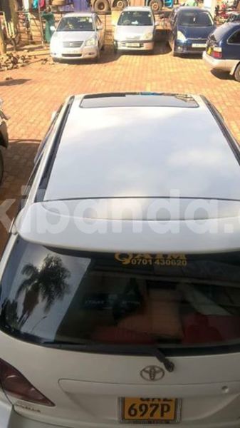 Big with watermark 36688536 10209942554159597 9072022783822659584 n