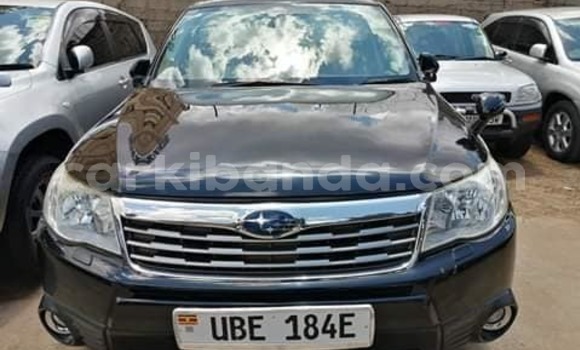 Nunua Ilio tumika Subaru Forester Nyeusi Gari ndani ya Adjumani nchini Kaskazini Nunua Ilio tumika Subaru Forester Nyeusi Gari ndani ya Adjumani nchini Kaskazini