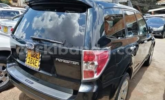 Nunua Ilio tumika Subaru Forester Nyeusi Gari ndani ya Adjumani nchini Kaskazini Nunua Ilio tumika Subaru Forester Nyeusi Gari ndani ya Adjumani nchini Kaskazini