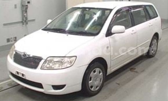 Nunua Ilio tumika Toyota Fielder Nyeupe Gari ndani ya Adjumani nchini Kaskazini Nunua Ilio tumika Toyota Fielder Nyeupe Gari ndani ya Adjumani nchini Kaskazini