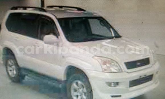 Nunua Ilio tumika Toyota Land Cruiser Prado Nyeupe Gari ndani ya Adjumani nchini Kaskazini