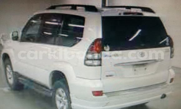 Nunua Ilio tumika Toyota Land Cruiser Prado Nyeupe Gari ndani ya Adjumani nchini Kaskazini Nunua Ilio tumika Toyota Land Cruiser Prado Nyeupe Gari ndani ya Adjumani nchini Kaskazini
