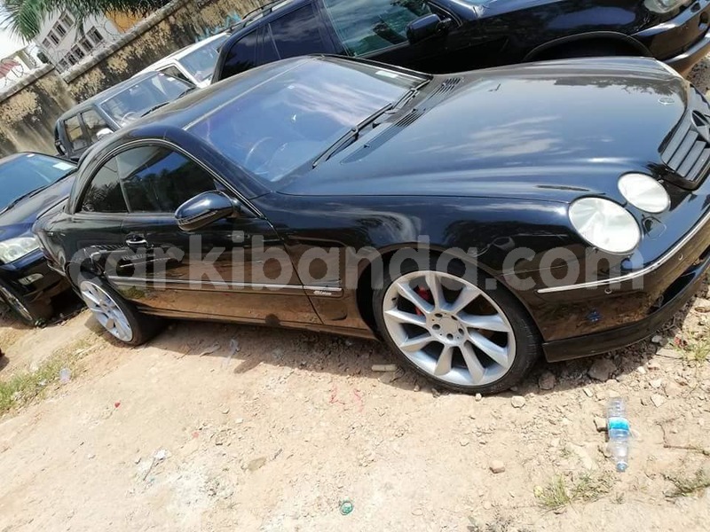 Big with watermark 38030560 2153053431639236 3080694008930893824 n