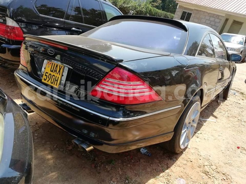 Big with watermark 38018073 2153053258305920 6632405489097375744 n