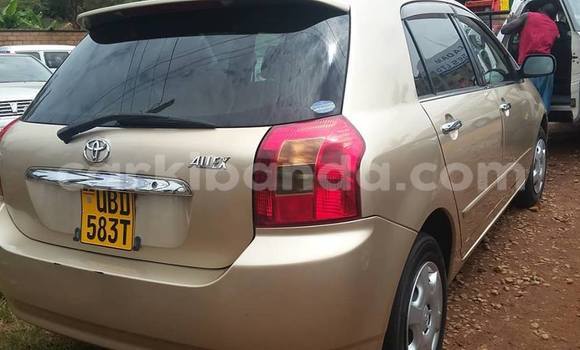 Acheter Occasion Voiture Toyota Allex Marron à Kampala, Ouganda Acheter Occasion Voiture Toyota Allex Marron à Kampala, Ouganda