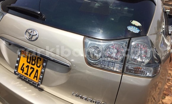 Acheter Occasion Voiture Toyota Harrier Beige à Adjumani, Nord