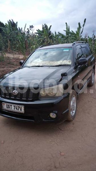 Big with watermark 30629329 194112211393369 244064733525704704 n