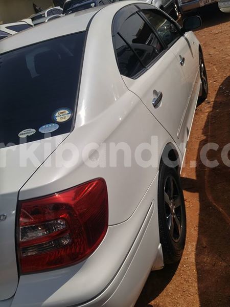 Big with watermark 30629329 194112211393369 244064733525704704 n