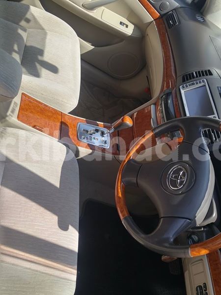 Big with watermark 30705011 1080215435450894 1812932972978896896 n