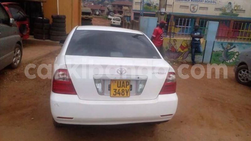 Big with watermark 30623955 578122035882356 6857030771144654848 n