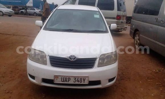 Acheter Occasion Voiture Toyota Corolla Blanc à Kampala, Ouganda Acheter Occasion Voiture Toyota Corolla Blanc à Kampala, Ouganda