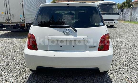 Buy Used Toyota IST Black Car in Kampala in Uganda Buy Used Toyota IST Black Car in Kampala in Uganda