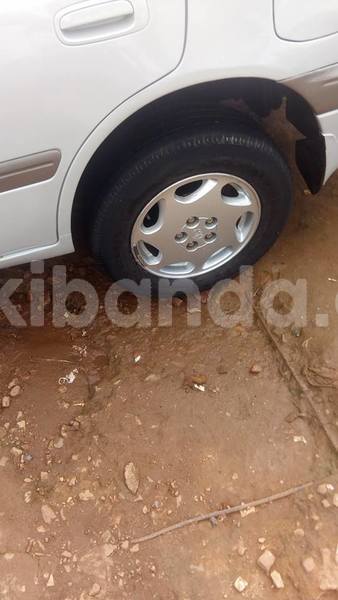 Big with watermark 38682731 2114022305309900 207371827188596736 n