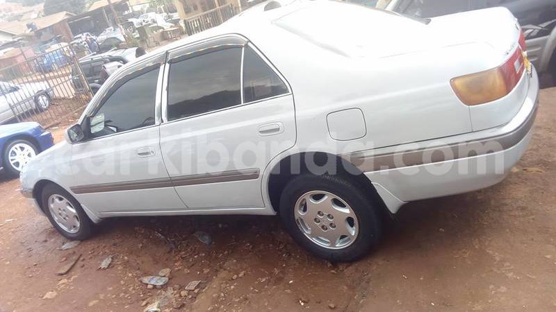 Big with watermark 38692687 2114022168643247 3156276774686425088 n