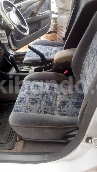 Big with watermark 38637473 2114021985309932 8106488662230827008 n