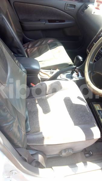 Big with watermark 38444501 2109046172474180 3820057274429210624 n