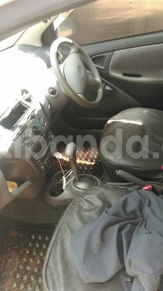 Big with watermark 38026339 2100305530014911 3053849316574625792 n