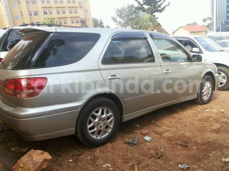 Big with watermark 14068071 1152614468131990 3459224564215847243 n