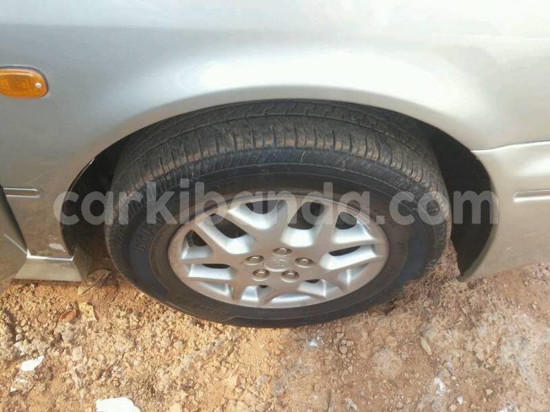 Big with watermark 13962567 1152614438131993 7868437561563931648 n