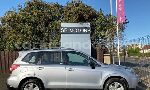 Buy Used Subaru Forester Other Car in Kampala in Uganda