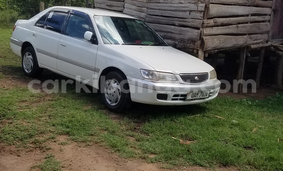 Acheter Occasion Voiture Toyota Premio Blanc à Bombo, Central