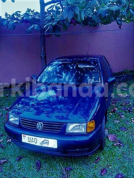 Big with watermark 38948668 504690139977657 6787951891545325568 n