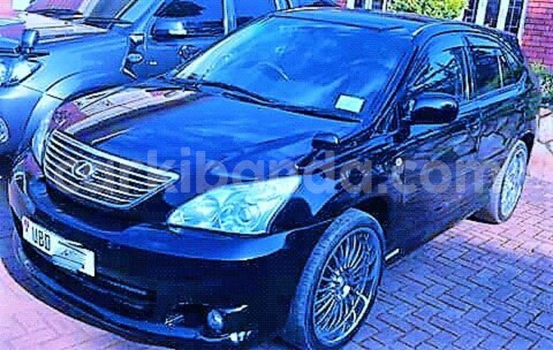 Big with watermark 38754054 501538823626122 8607305660243116032 n