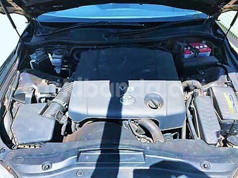 Big with watermark 37394712 481993702247301 2645401968289251328 n