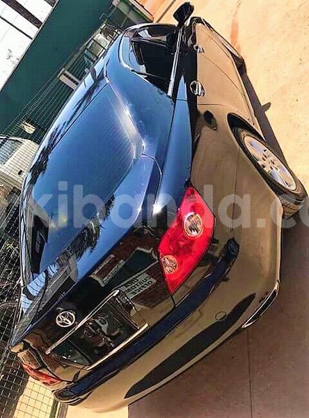 Big with watermark 37393482 481993355580669 8961807364592238592 n